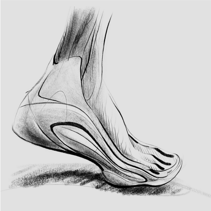 AN EXTENSION OF THE HUMAN FOOT